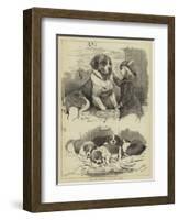 The St Bernard Club Dog Show-Charles Burton Barber-Framed Giclee Print