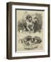 The St Bernard Club Dog Show-Charles Burton Barber-Framed Giclee Print