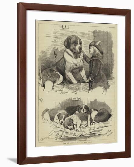 The St Bernard Club Dog Show-Charles Burton Barber-Framed Giclee Print