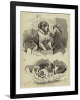 The St Bernard Club Dog Show-Charles Burton Barber-Framed Giclee Print