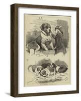 The St Bernard Club Dog Show-Charles Burton Barber-Framed Giclee Print