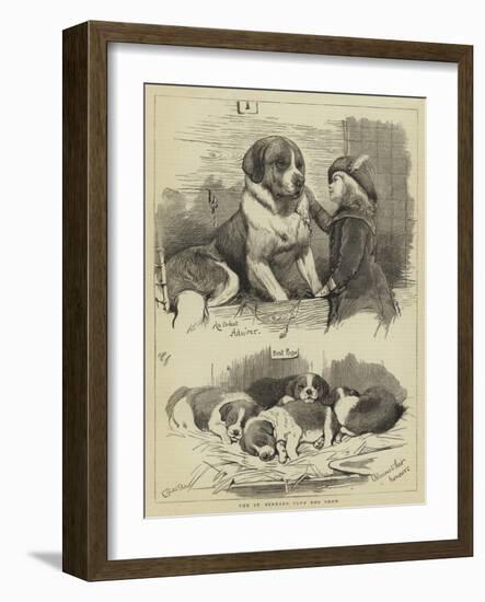 The St Bernard Club Dog Show-Charles Burton Barber-Framed Giclee Print