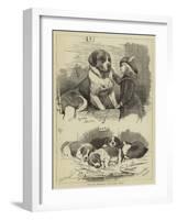 The St Bernard Club Dog Show-Charles Burton Barber-Framed Giclee Print