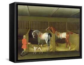 The Stables and Two Famous Running Horses Belonging to His Grace, the Duke of Bolton, 1747-James Seymour-Framed Stretched Canvas