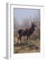 The Stag, 1875-Rosa Bonheur-Framed Giclee Print