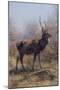 The Stag, 1875-Rosa Bonheur-Mounted Giclee Print