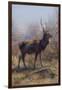 The Stag, 1875-Rosa Bonheur-Framed Giclee Print