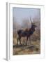 The Stag, 1875-Rosa Bonheur-Framed Giclee Print