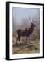 The Stag, 1875-Rosa Bonheur-Framed Giclee Print