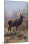 The Stag, 1875-Rosa Bonheur-Mounted Giclee Print