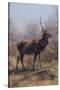 The Stag, 1875-Rosa Bonheur-Stretched Canvas