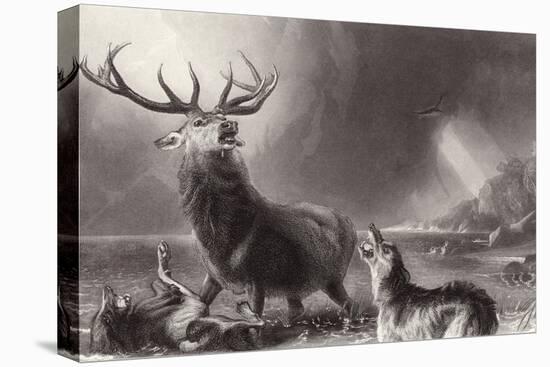 The Stag at Bay-Edwin Henry Landseer-Stretched Canvas