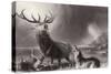 The Stag at Bay-Edwin Henry Landseer-Stretched Canvas
