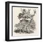 The Stag or Red-Deer (Cervus Elephas) This is the Most Beautiful Animal of the Deer Kind-Thomas Bewick-Framed Art Print