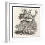 The Stag or Red-Deer (Cervus Elephas) This is the Most Beautiful Animal of the Deer Kind-Thomas Bewick-Framed Art Print