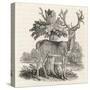 The Stag or Red-Deer (Cervus Elephas) This is the Most Beautiful Animal of the Deer Kind-Thomas Bewick-Stretched Canvas