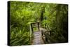 The Stairs and Platforms of the West Coast Trail Along the Pacific Northwest-Sergio Ballivian-Stretched Canvas