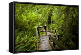 The Stairs and Platforms of the West Coast Trail Along the Pacific Northwest-Sergio Ballivian-Framed Stretched Canvas