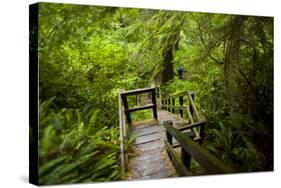 The Stairs and Platforms of the West Coast Trail Along the Pacific Northwest-Sergio Ballivian-Stretched Canvas