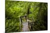 The Stairs and Platforms of the West Coast Trail Along the Pacific Northwest-Sergio Ballivian-Mounted Photographic Print