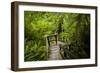 The Stairs and Platforms of the West Coast Trail Along the Pacific Northwest-Sergio Ballivian-Framed Photographic Print