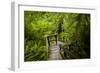 The Stairs and Platforms of the West Coast Trail Along the Pacific Northwest-Sergio Ballivian-Framed Photographic Print