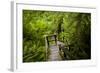 The Stairs and Platforms of the West Coast Trail Along the Pacific Northwest-Sergio Ballivian-Framed Photographic Print