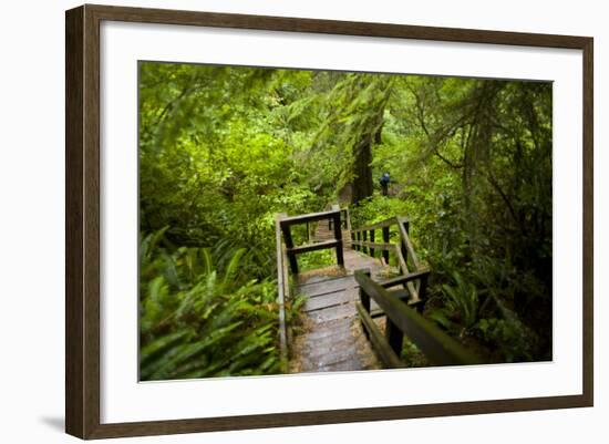 The Stairs and Platforms of the West Coast Trail Along the Pacific Northwest-Sergio Ballivian-Framed Photographic Print