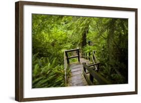 The Stairs and Platforms of the West Coast Trail Along the Pacific Northwest-Sergio Ballivian-Framed Photographic Print