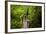 The Stairs and Platforms of the West Coast Trail Along the Pacific Northwest-Sergio Ballivian-Framed Photographic Print