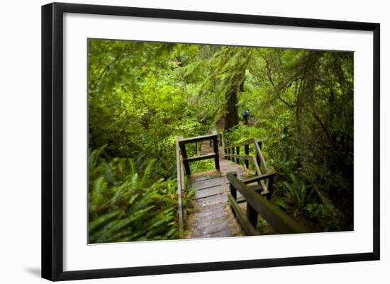 The Stairs and Platforms of the West Coast Trail Along the Pacific Northwest-Sergio Ballivian-Framed Photographic Print