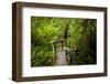 The Stairs and Platforms of the West Coast Trail Along the Pacific Northwest-Sergio Ballivian-Framed Photographic Print