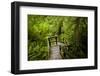 The Stairs and Platforms of the West Coast Trail Along the Pacific Northwest-Sergio Ballivian-Framed Photographic Print