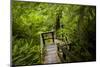 The Stairs and Platforms of the West Coast Trail Along the Pacific Northwest-Sergio Ballivian-Mounted Photographic Print