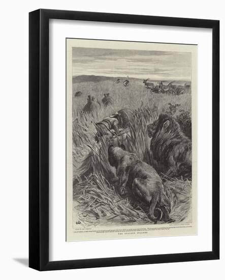 The Stalker Stalked-John Charlton-Framed Giclee Print