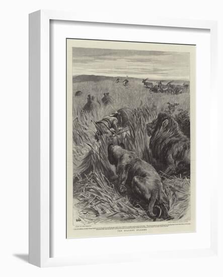 The Stalker Stalked-John Charlton-Framed Giclee Print