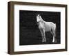 The Stance-Sally Linden-Framed Photographic Print