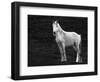 The Stance-Sally Linden-Framed Photographic Print