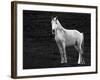 The Stance-Sally Linden-Framed Photographic Print