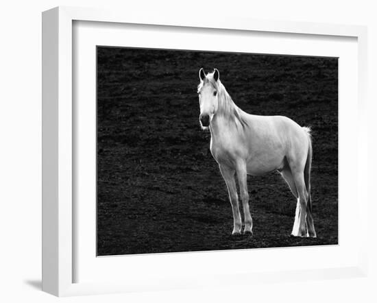The Stance-Sally Linden-Framed Photographic Print