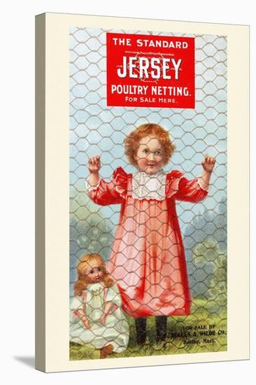 The Standard Jersey Poultry Netting-null-Stretched Canvas