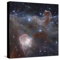 The Star-forming Region NGC 2024 in the Constellation Orion-Stocktrek Images-Stretched Canvas