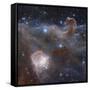 The Star-forming Region NGC 2024 in the Constellation Orion-Stocktrek Images-Framed Stretched Canvas