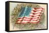 The Star-Spangled Banner!, Flag-null-Framed Stretched Canvas