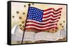 The Star Spangled Banner in Triumph Shall Wave Postcard-null-Framed Stretched Canvas