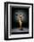 The Star-Paul Philippe-Framed Premium Giclee Print