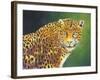 The Stare-Graeme Stevenson-Framed Giclee Print