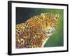 The Stare-Graeme Stevenson-Framed Giclee Print