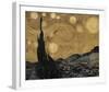 The Starry Night, June 1889 - Luxe-Eccentric Accents-Framed Giclee Print