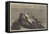 The Start Lighthouse, South Devon-Samuel Read-Framed Stretched Canvas